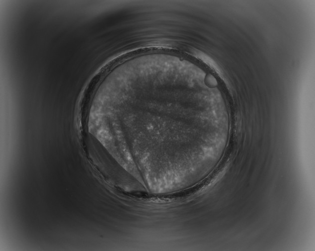 X0000087520923200705251636