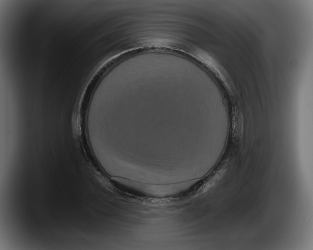 X0000087520924200705251636