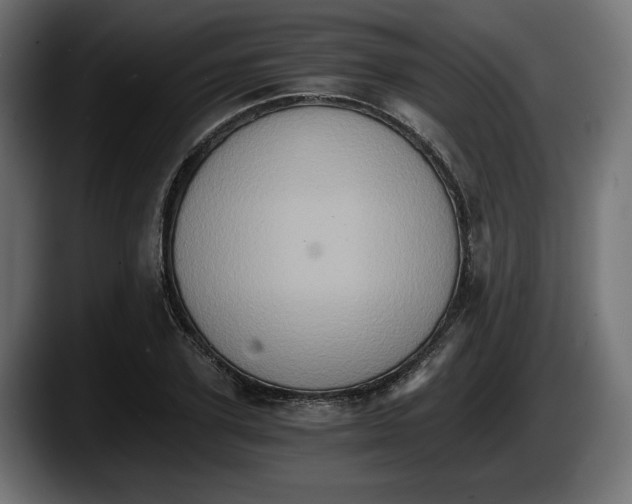 X0000087520931200705251636