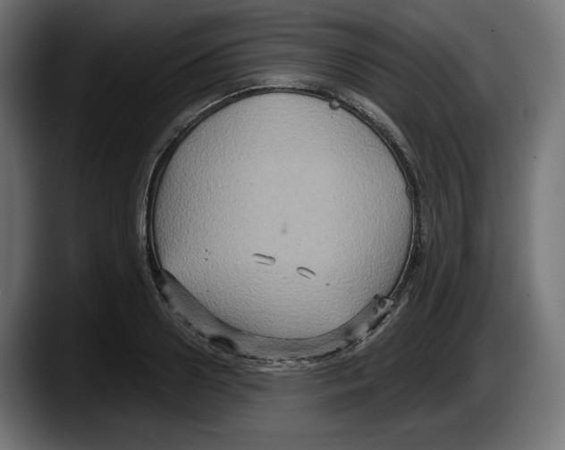 X0000087520938200705251636