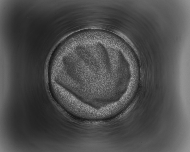 X0000087520939200705251636