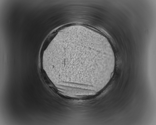 X0000087520940200705251636