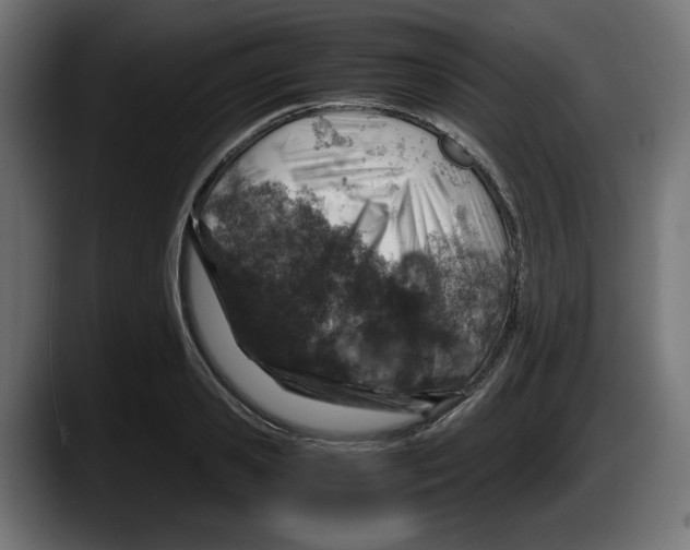 X0000087520941200705251636