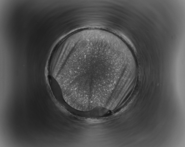 X0000087520944200705251636