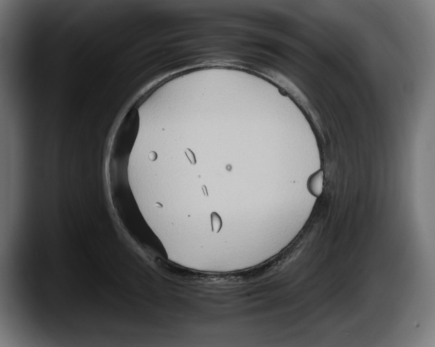 X0000087520947200705251636