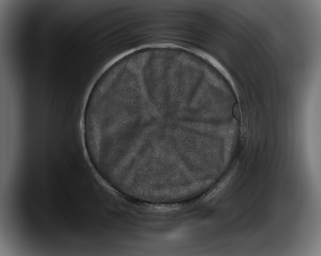 X0000087520951200705251636