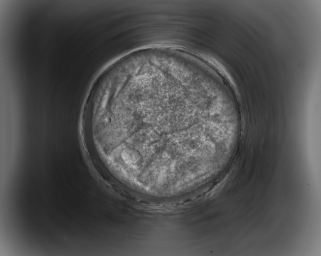 X0000087520952200705251636