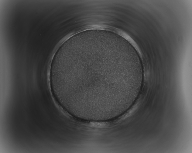 X0000087520954200705251637