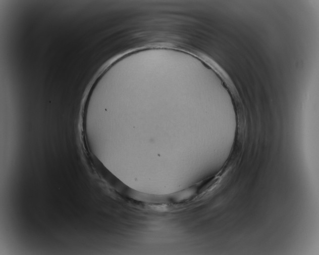 X0000087520956200705251637