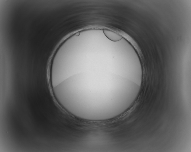 X0000087520958200705251637