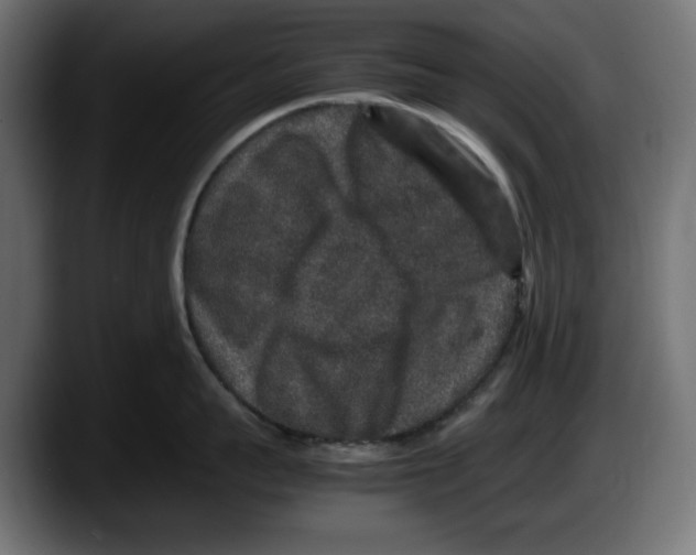 X0000087520959200705251637