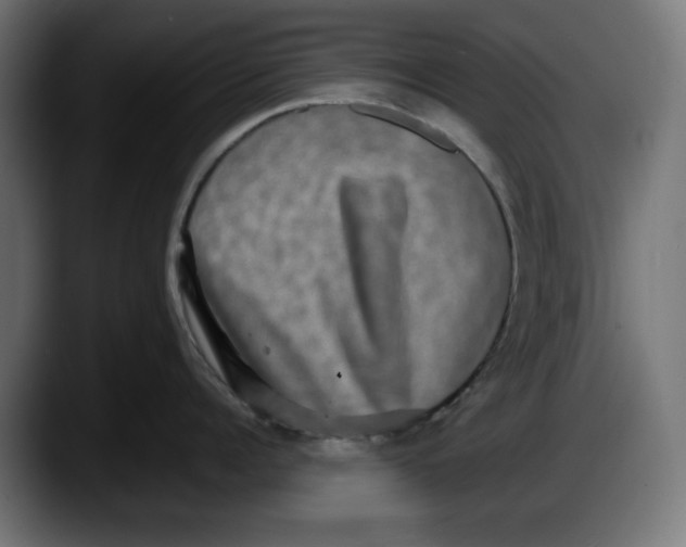 X0000087520960200705251637