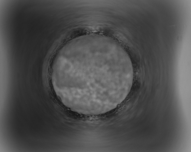 X0000087520961200705251636