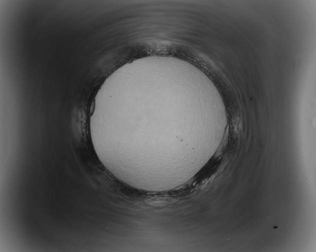 X0000087520964200705251636