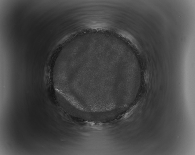 X0000087520968200705251636