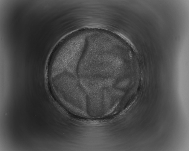 X0000087520976200705251636