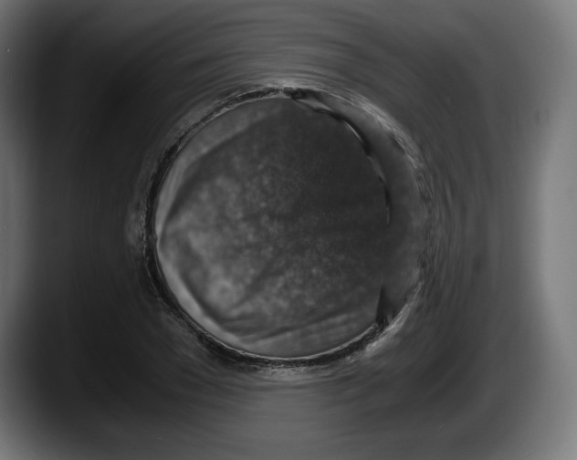 X0000087520977200705251636