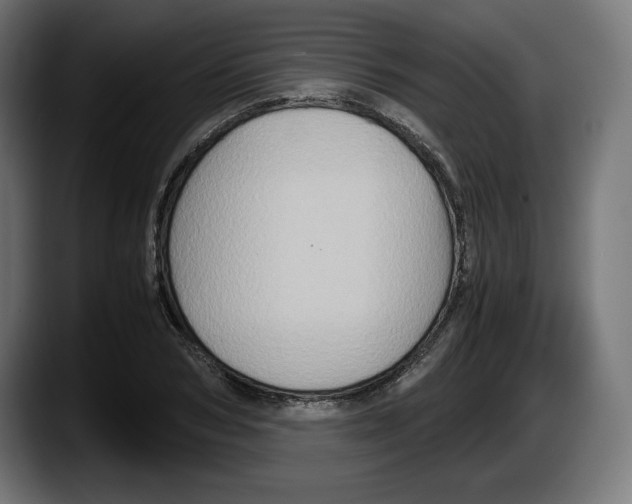 X0000087520978200705251636