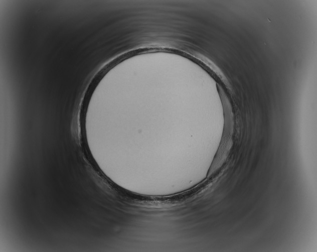 X0000087520980200705251636