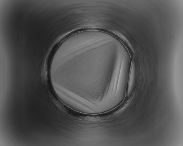 X0000087520981200705251636