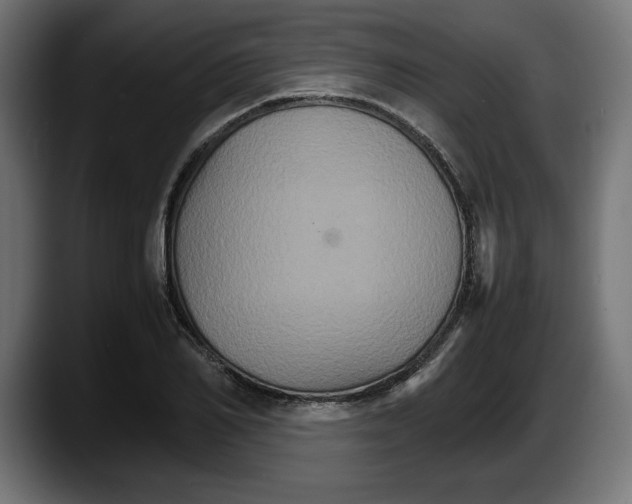 X0000087520982200705251636