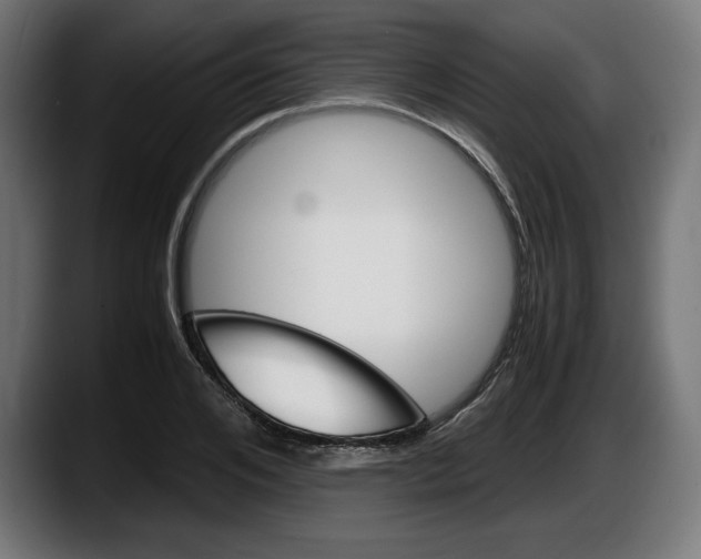 X0000087520984200705251636