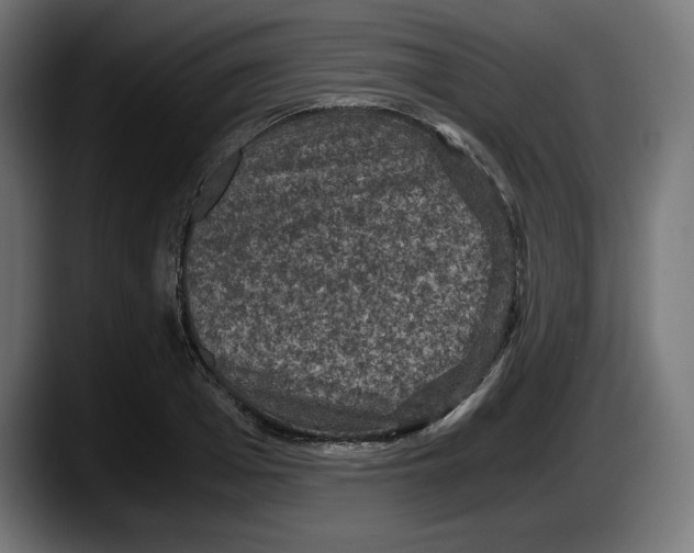 X0000087520985200705251636