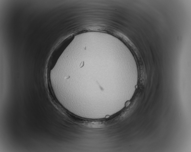 X0000087520986200705251636