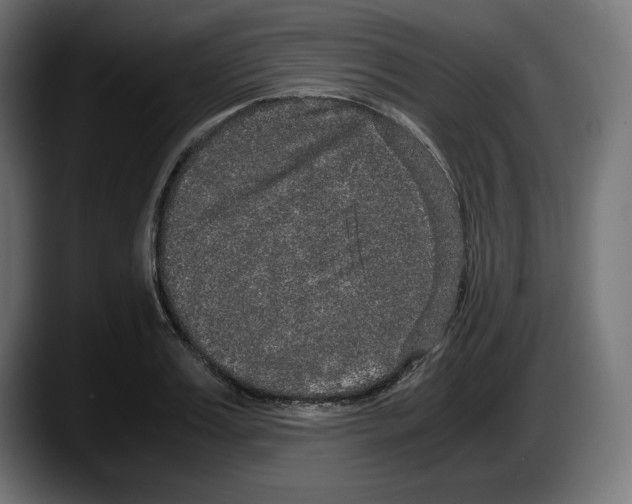 X0000087520987200705251636