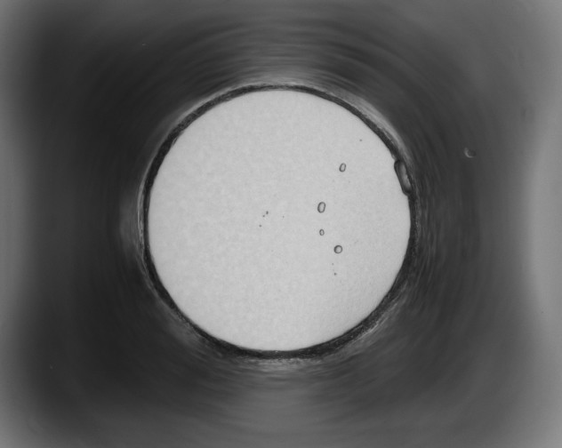 X0000087520988200705251636