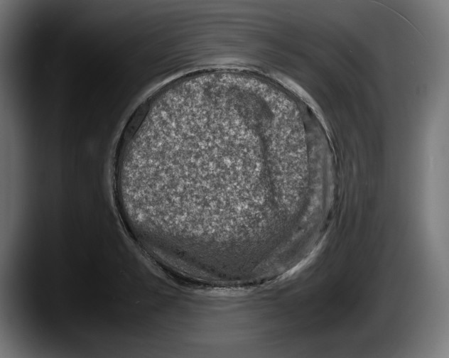 X0000087520989200705251636