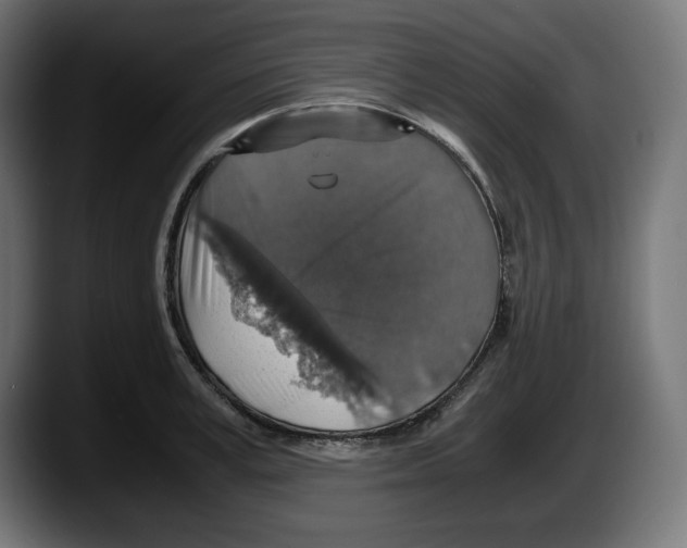 X0000087520995200705251636