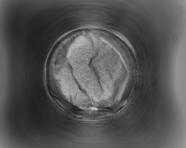 X0000087520996200705251636