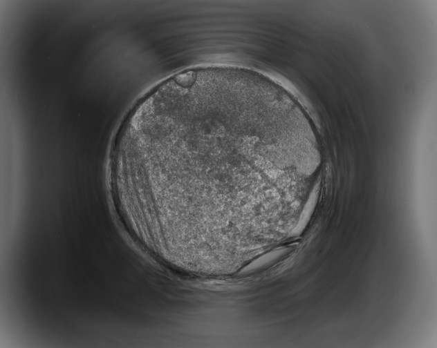 X0000087520998200705251635