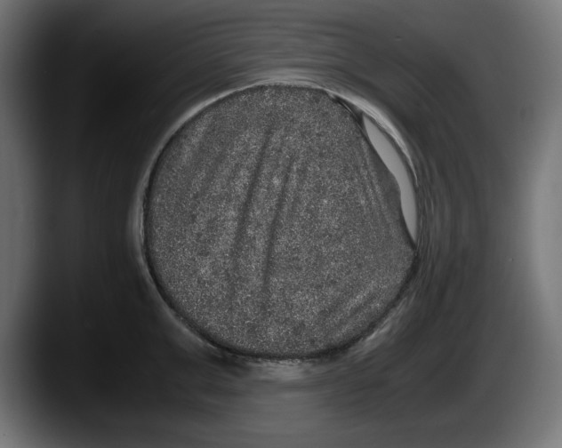 X0000087520999200705251635