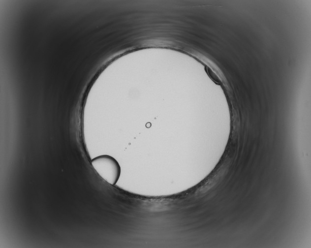 X0000087521000200705251635