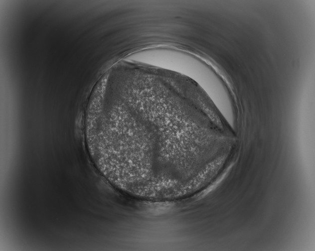 X0000087521001200705251635