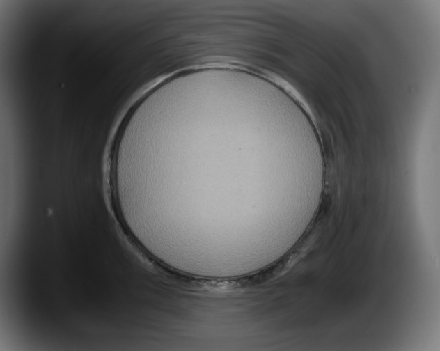 X0000087521003200705251635