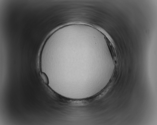 X0000087521004200705251635