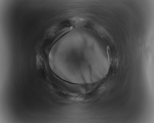 X0000087521010200705251635