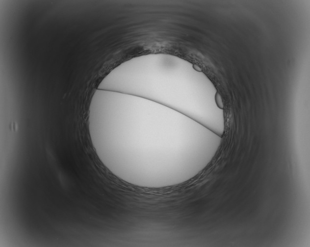 X0000087521012200705251635