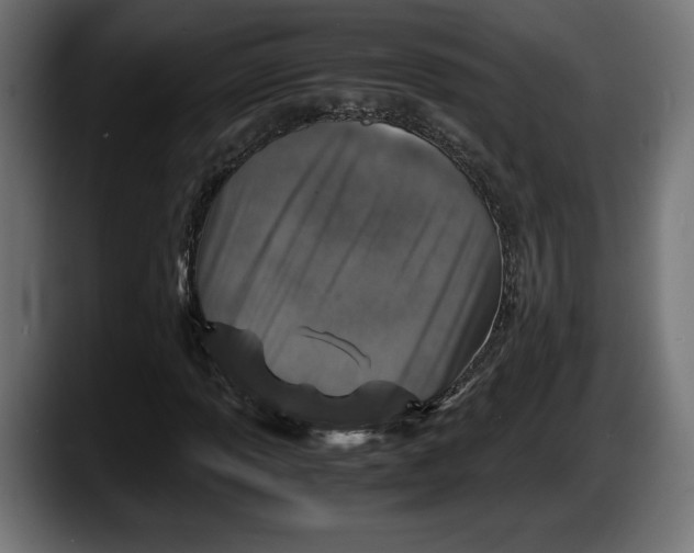 X0000087521013200705251635