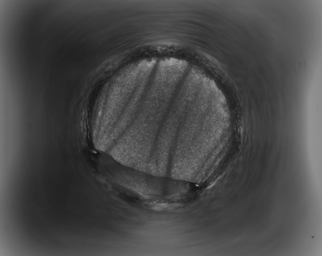 X0000087521014200705251635