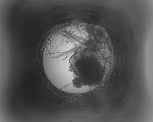 X0000087521015200705251635