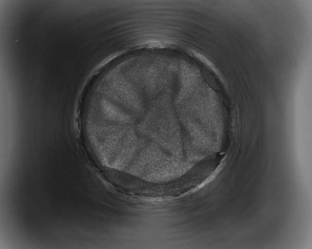 X0000087521018200705251635