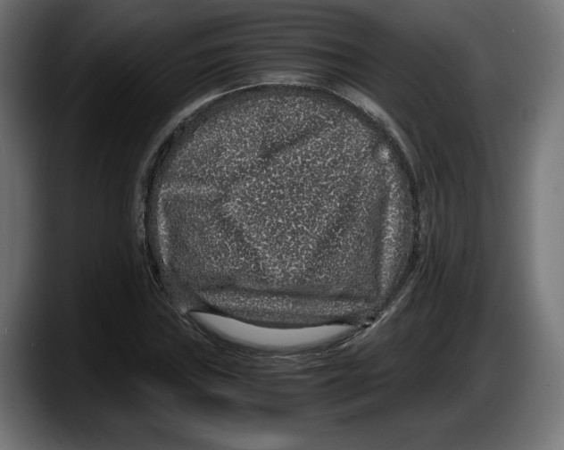 X0000087521019200705251635