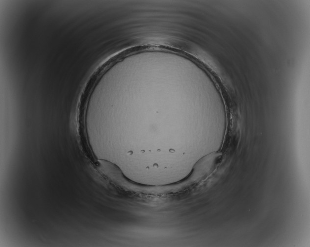 X0000087521020200705251635