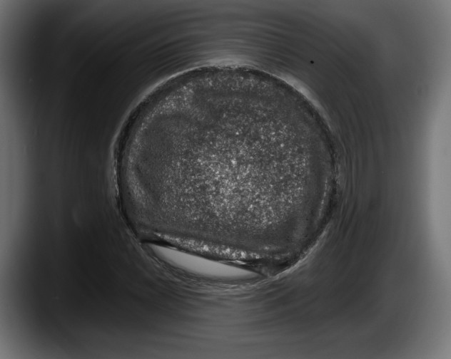 X0000087521022200705251635