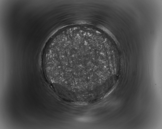 X0000087521023200705251635