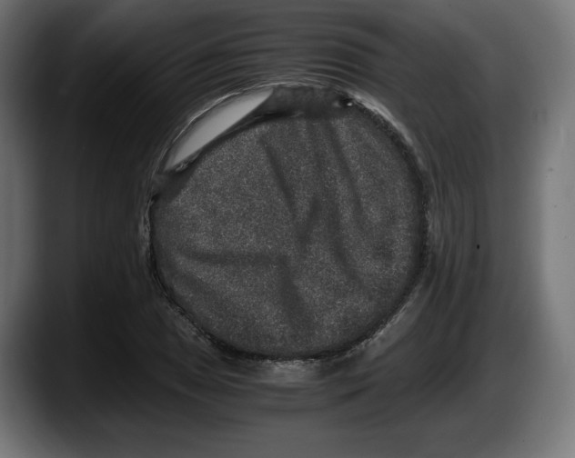 X0000087521025200705251635